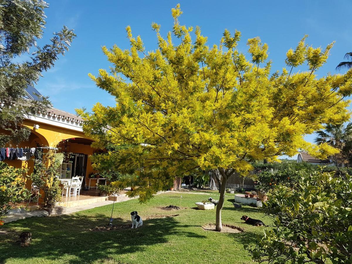 Finca La Gallina Blanca Альхаурин-эль-Гранде Экстерьер фото